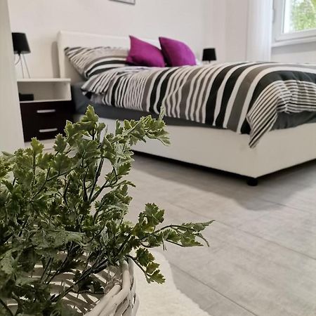 Apartman Maki Sombor Dış mekan fotoğraf